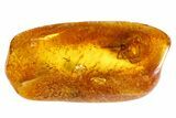 Phenomenal, Detailed Fossil Spider (Aranea) In Baltic Amber #84675-1